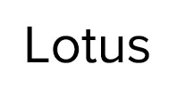 Ремонт стиральных машин Lotus в Ногинске